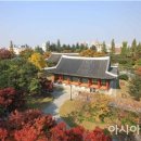 대구 경상감영지(大邱 慶尙監營址) 이미지