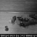 아이원 동물병원 이미지