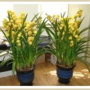 팔달시장 이미지