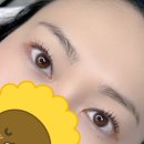 데아뷰티 | 평택 속눈썹펌 데아뷰티 완전만족한 후기 [내돈내산]