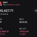 양전 | 아직 양전인 테슬라 16개월 투자 후기