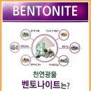 큐사랑헤어염색방