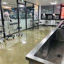 튼튼애견미용 이미지