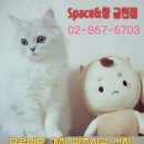 제우스 | 독산동블라인드 제우스PC방 설치후기!