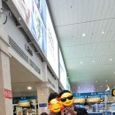 짝국제결혼 이미지