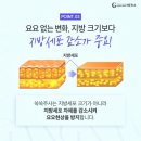 강남헤라성형외과의원 이미지