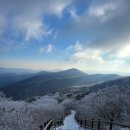 289차정기산행 태백산눈꽃산행 이미지