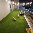 더블유유치원
