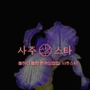(주)스타사주