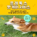 웰씨코리아 이미지