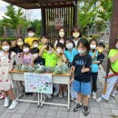 노리울지역아동센터 이미지