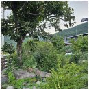 오후펜션 이미지