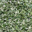 방하농장 이미지