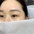 도쿄부어