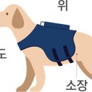 하남숲동물병원 이미지