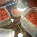 광일상회 이미지