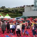 장미의거리12 이미지