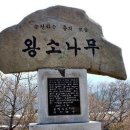 해미농협주유소 이미지