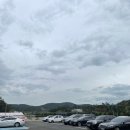 레스트펫카페테리아 | 울산애견카페 레스트펫