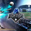 한밭야구장 이미지