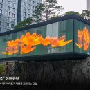 베일리제이