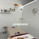 소미에터테라피
