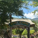 현지목장 | 나트랑 판랑 사막 투어, 양떼 목장부터 포롱자라이 사원까지 현지 내돈내산 후기