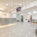 24시 유앤미동물병원 이미지