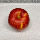 오늘의 마이핏 | 쿠팡 로켓프레시 마이핏 사과 취향 고르기 종류별 특징 맛 비교 추천