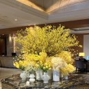 조리나코너 | 소공동 롯데호텔 라세느 런치 후기(내돈내산)