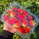 유봉농장 이미지