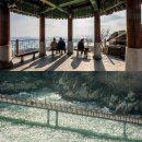 바다이야기 이미지