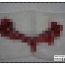 태양 동물병원 이미지