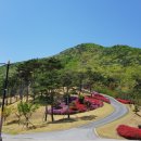 양산CC 네이버블로그