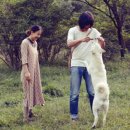 패밀리민박 이미지