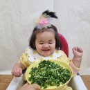 봄향기 가득 🌿 봄나물 주먹밥ㅡ쿠킹클래스 이미지
