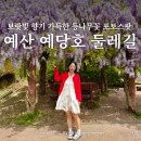 예당관광지 | 충남 예산 가볼만한곳 예당관광지 근처 예당호 등나무꽃 위치
