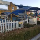 원광대학교사범대학 부속유치원 이미지