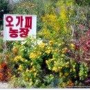 운제농장 이미지