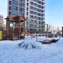 나루초등학교 이미지