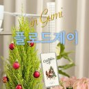 산호대로35길 이미지