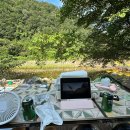 단양남천계곡물가 | 🌿 [충북/단양]여름계곡 남천계곡 물놀이 축제 솔직후기 (feat. 고기, 예능, 그리고 햇빛과의 전쟁) 취사...