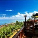 영덕바닷가솔밭펜션 이미지