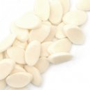 SB휘트니스 이미지