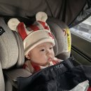 파라스테이 이미지