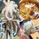 숯불구이·샤브기와 | 봄 제철 알쭈꾸미 2kg 내돈내산! 숯불구이·샤브샤브·해물라면까지 먹어본 후기