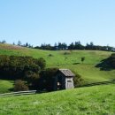 기쁨목장 이미지