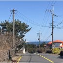 자유로운 사색가 이미지