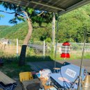 (주)위드독 이미지