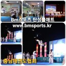 용인대 라이온 태권도장 이미지